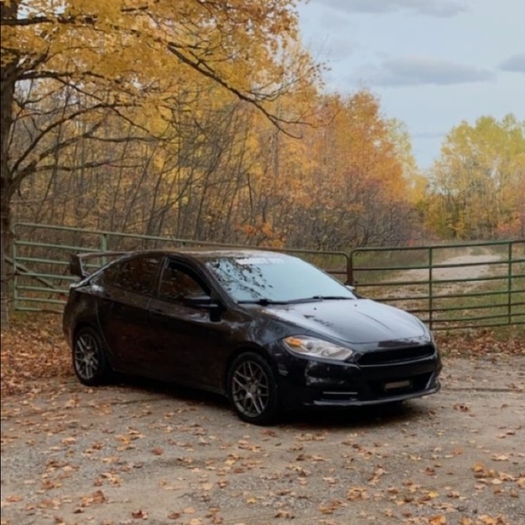 Meet your Posher, Parker - Picture 1 of 1